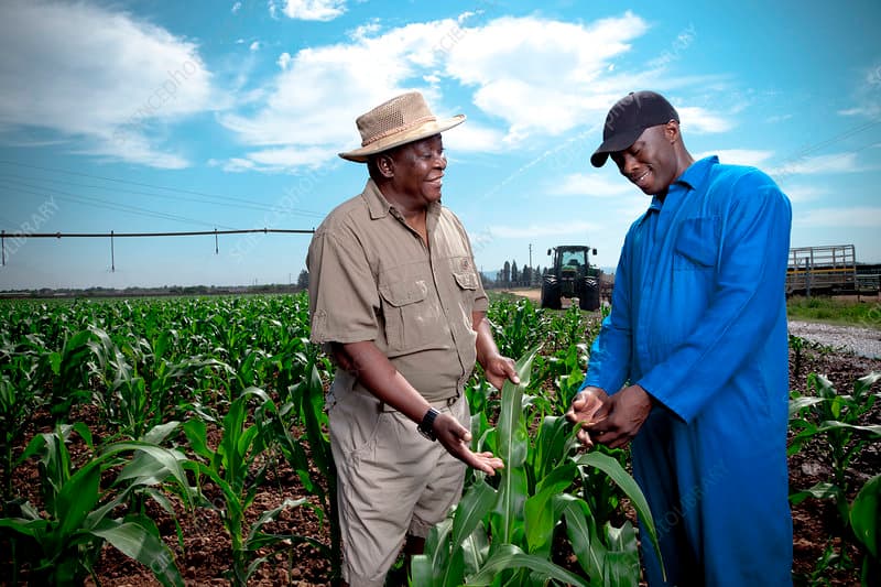 Farming a Profession of Hope
